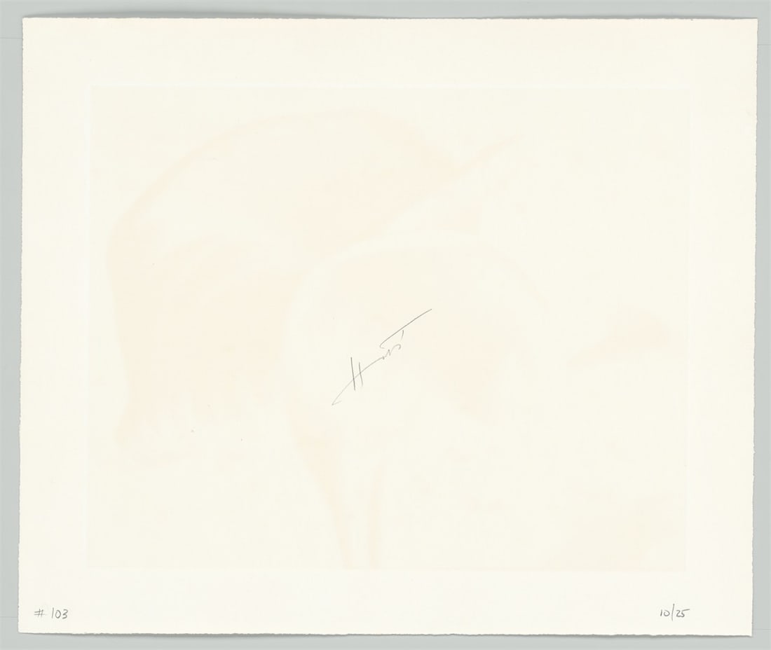 Horst P. Horst (i.e. Horst Paul Albert Bohrmann). Calla Aethiopica. 1945 - 4