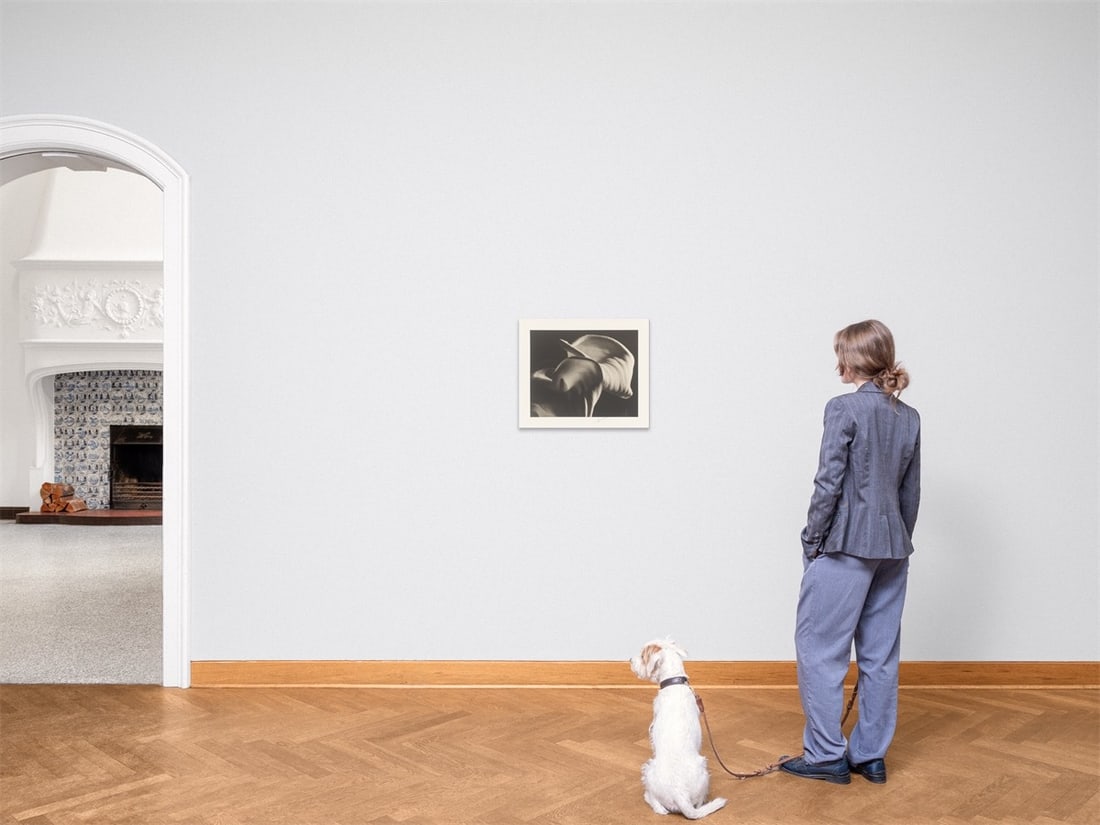 Horst P. Horst (i.e. Horst Paul Albert Bohrmann). Calla Aethiopica. 1945 - 5