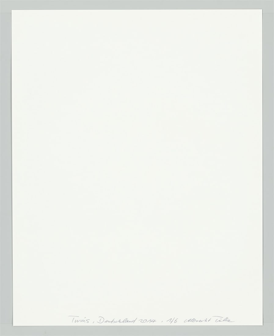 Albrecht Tübke. Germany, from the series ”Twins”, 2000–2015. 2014 - 4