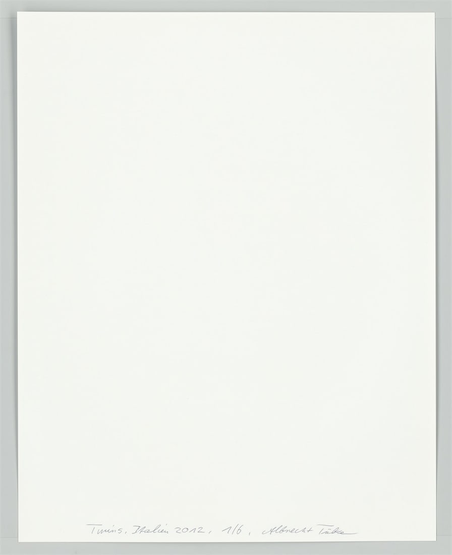 Albrecht Tübke. Italy, from the series ”Twins”, 2000–2015. 2012 - 4