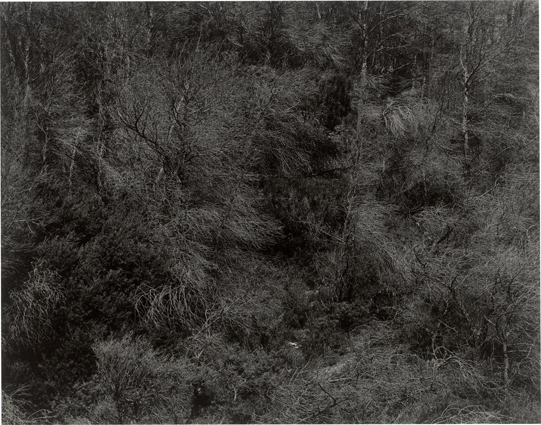 Harry Callahan. Aix-en-Provence, France. 1957: Harry Callahan (Detroit/Michigan 1912 – 1999 Atlanta/Georgia). Aix-en-Provence, France. 1957 Vintage or early gelatin silver print. 23,8 × 30,4 cm