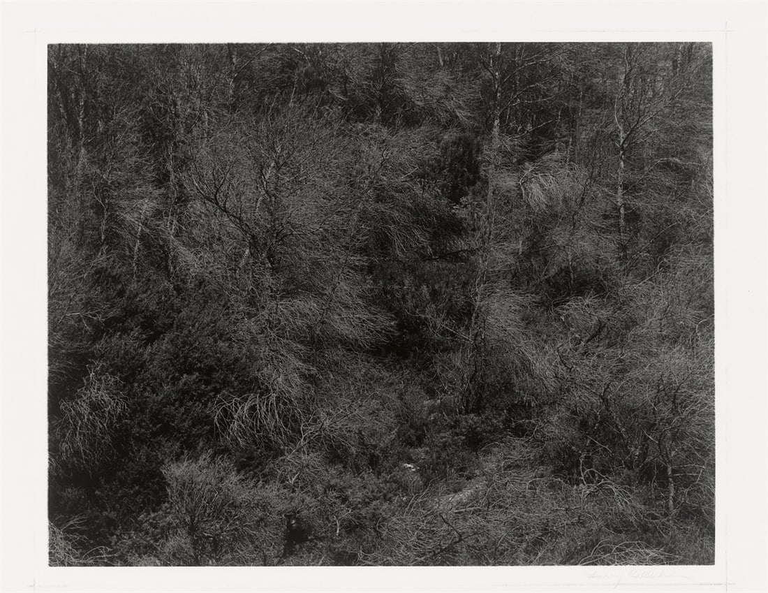 Harry Callahan. Aix-en-Provence, France. 1957 - 2