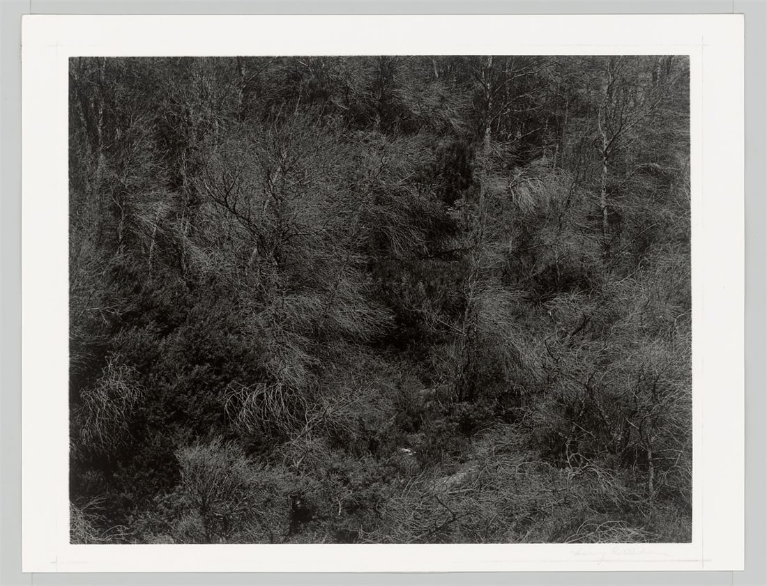 Harry Callahan. Aix-en-Provence, France. 1957 - 3