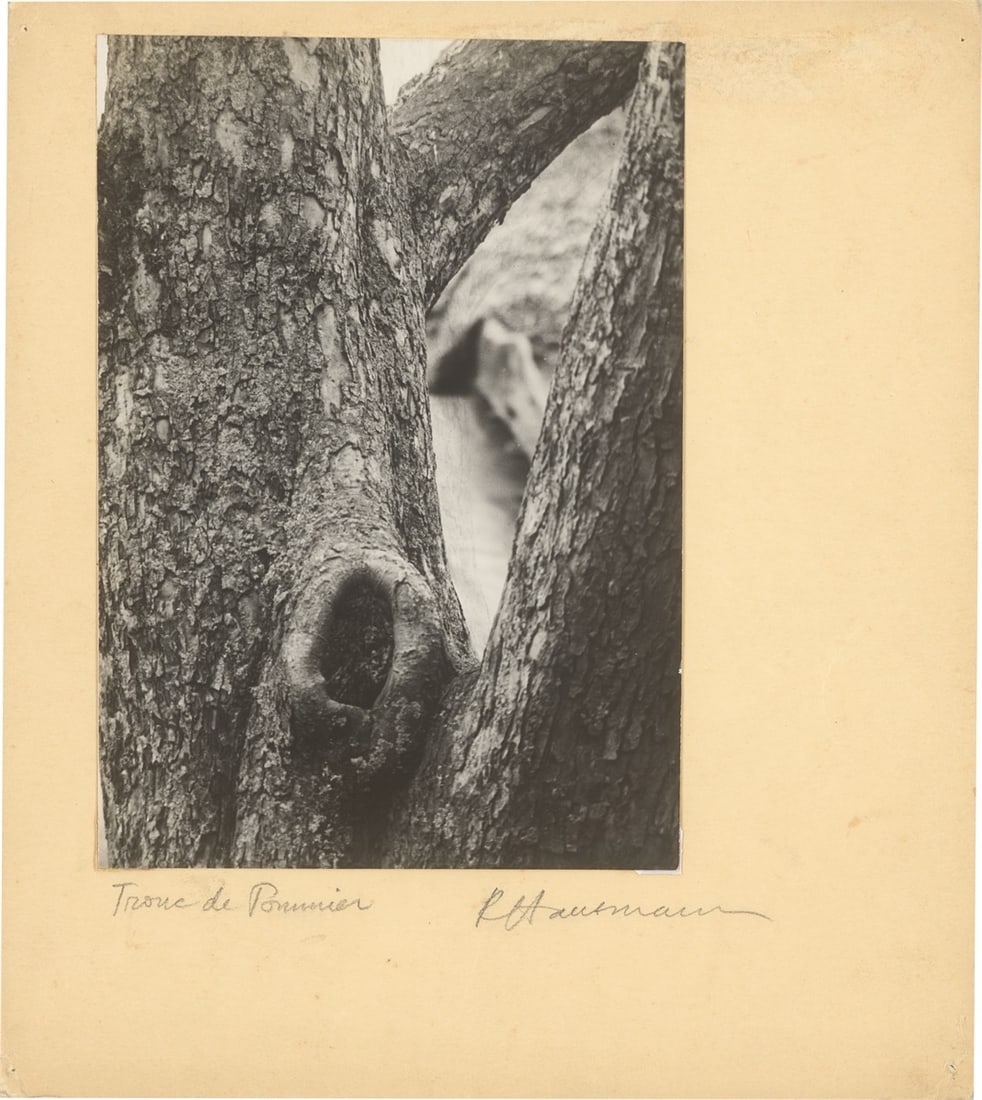 Raoul Hausmann. ”Tronc de Pommier”, Limoges. 1950 - 2