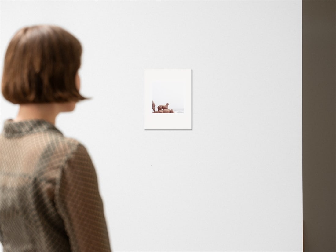 William Wegman. ”Ocean View”. 2002 - 5