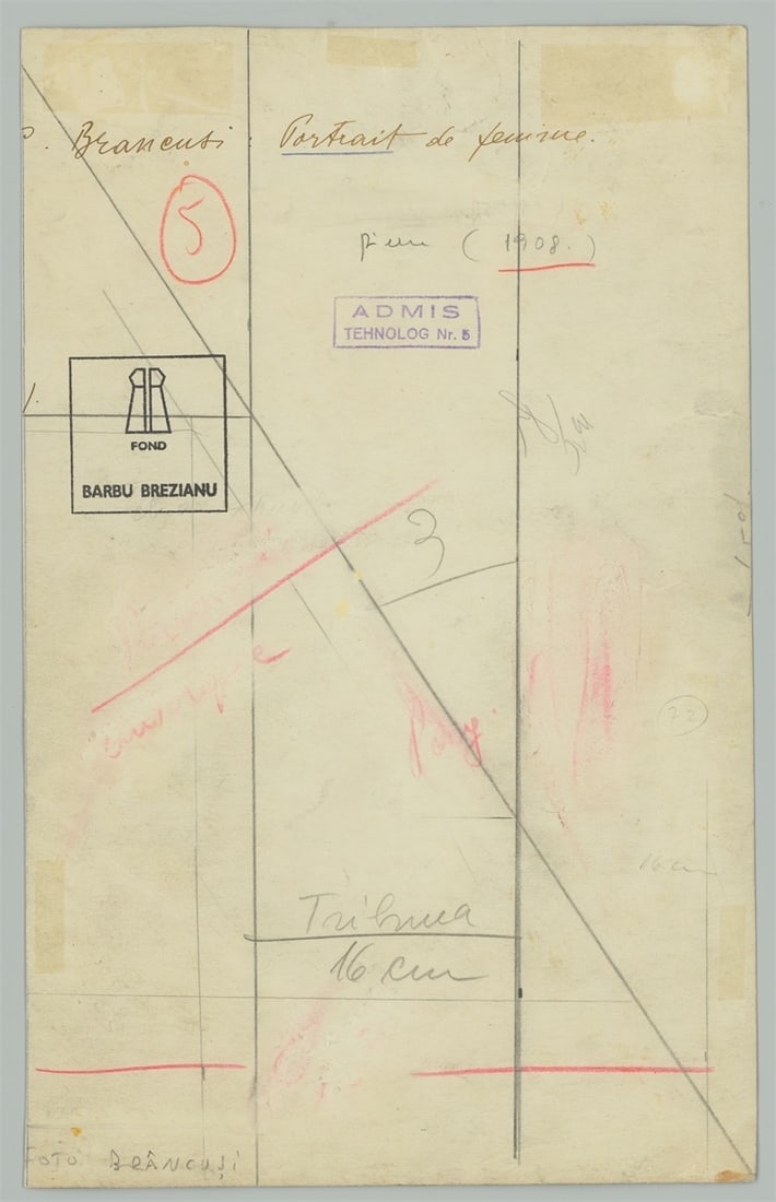 Constantin Brâncuşi. Tête de femme (La Baronne Renée Frachon). Circa 1909 - 3