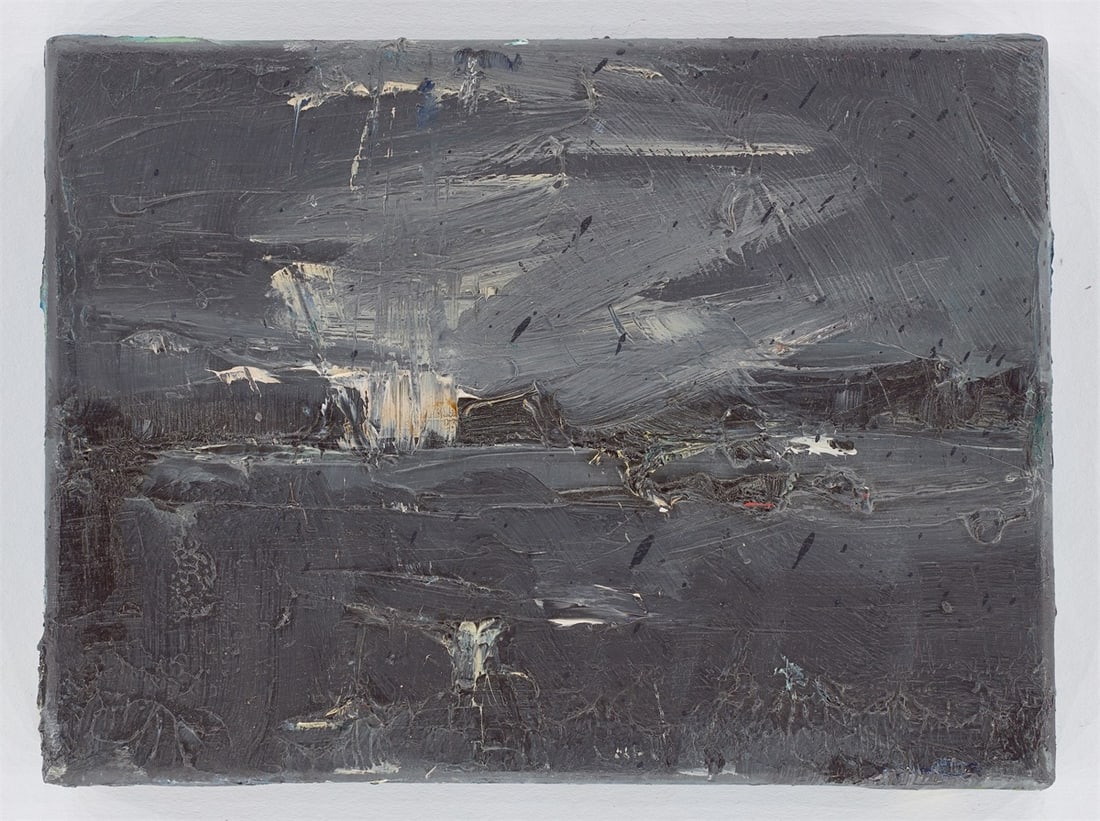 Detlev Foth. Nocturnal landscapes. 1993 - 12