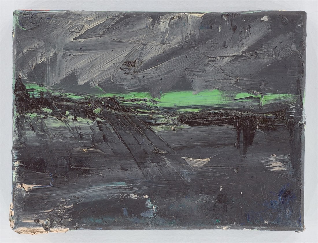 Detlev Foth. Nocturnal landscapes. 1993 - 9