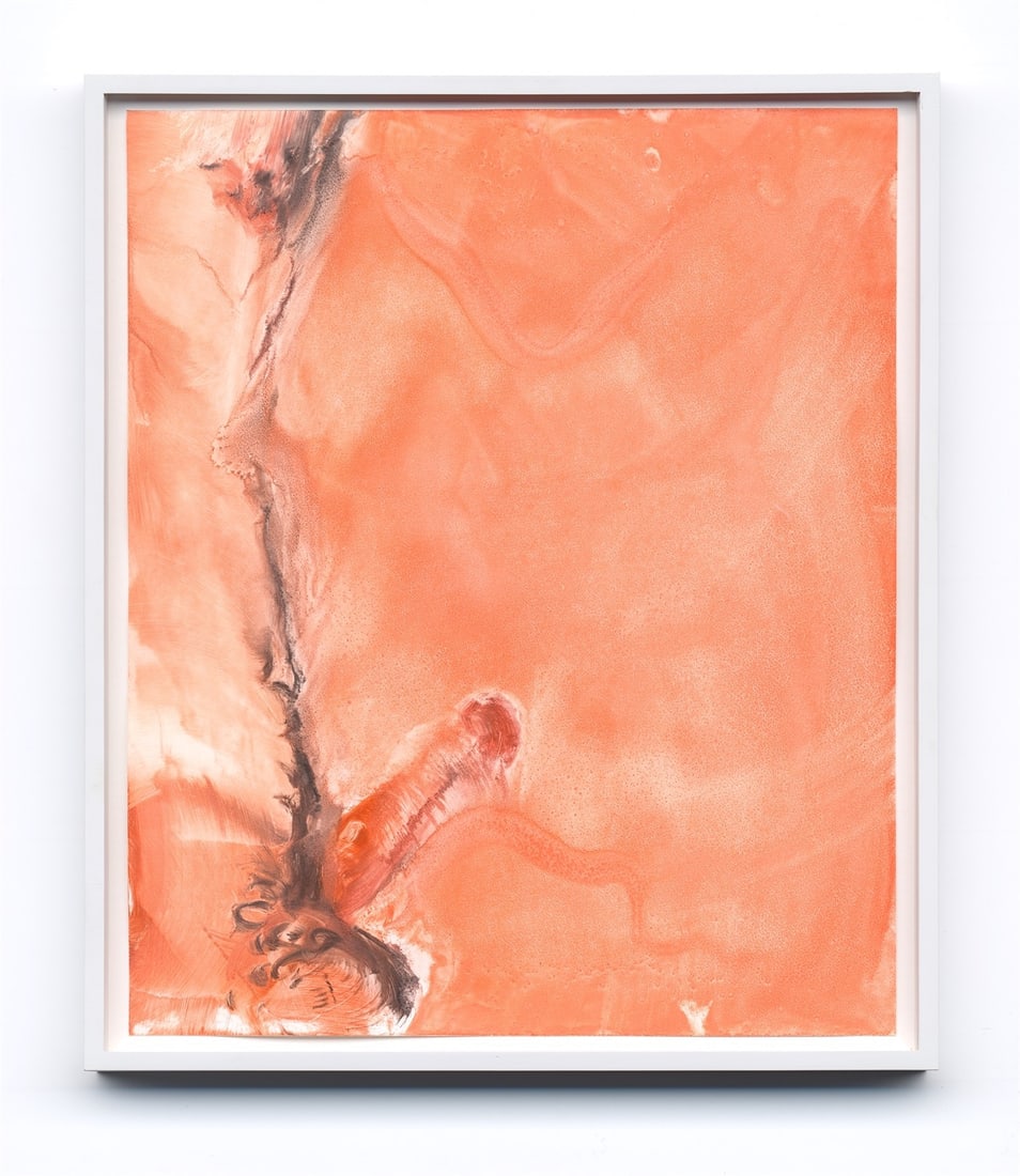 Portfolio. ”Printed Matter Photography Portfolio V: [Untitled/Nudes] Curated by Larry Clark - 3