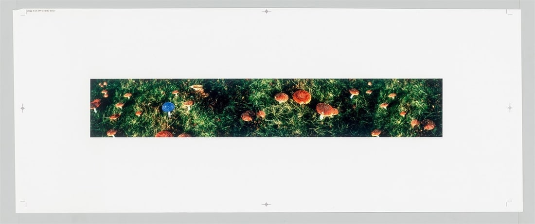Carsten Höller. Untitled (mushrooms). 1997 - 2