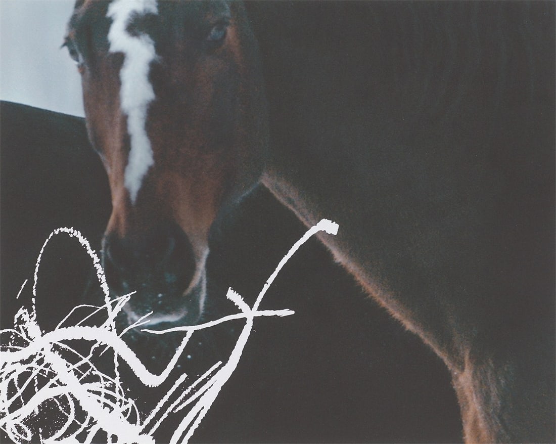 Anne Imhof. ”YOUTH (I-IV)”. 2023 - 4
