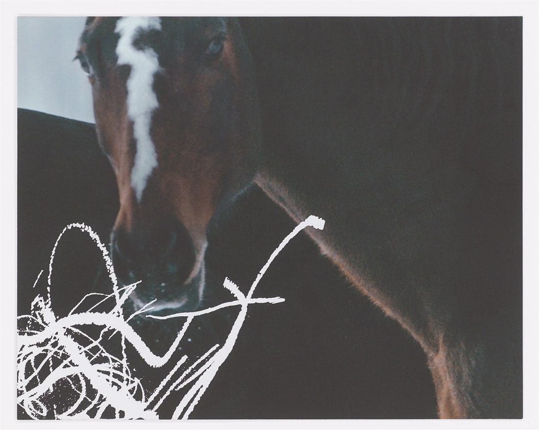 Anne Imhof. ”YOUTH (I-IV)”. 2023 - 5