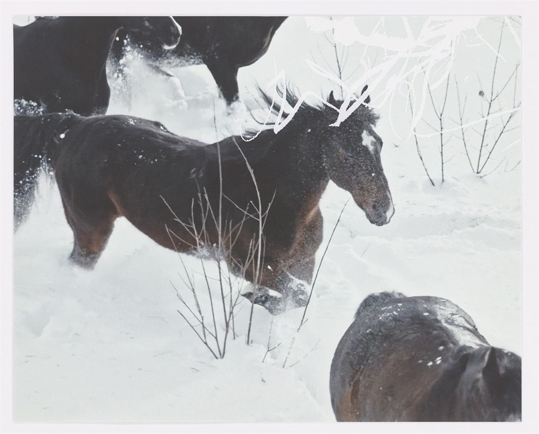 Anne Imhof. ”YOUTH (I-IV)”. 2023 - 7