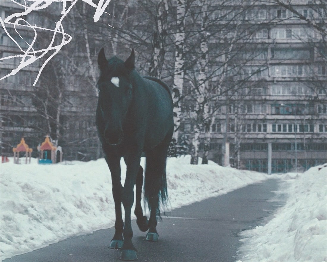 Anne Imhof. ”YOUTH (I-IV)”. 2023 - 8