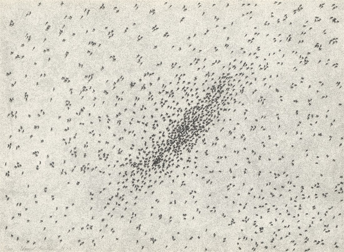 Ed Ruscha. ”Insect Slant”. 1973: Ed Ruscha (Omaha, Nebraska 1937 – lives in Los Angeles). ”Insect Slant”. 1973 Lithograph and silkscreen on BFK Rives wove paper. 56 × 76,5 cm