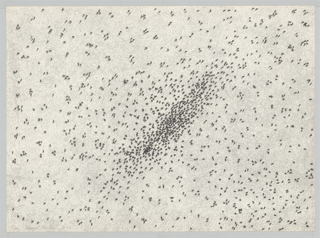 Ed Ruscha. ”Insect Slant”. 1973 - 2