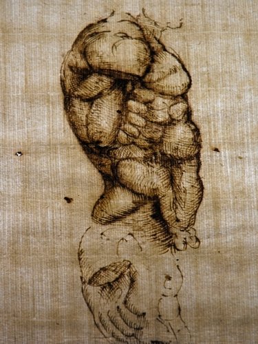 ITALIAN SCHOOL, : Italian School,“Anatomical study” brown ink on laid paper. Mis.160x215 mm.(6.3”x8.5”)