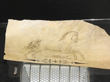 TUSCAN SCHOOL: Tuscan school, "running horse", black and brown ink on vellum. Mis:242x134 mm.(9.5"x5.3")