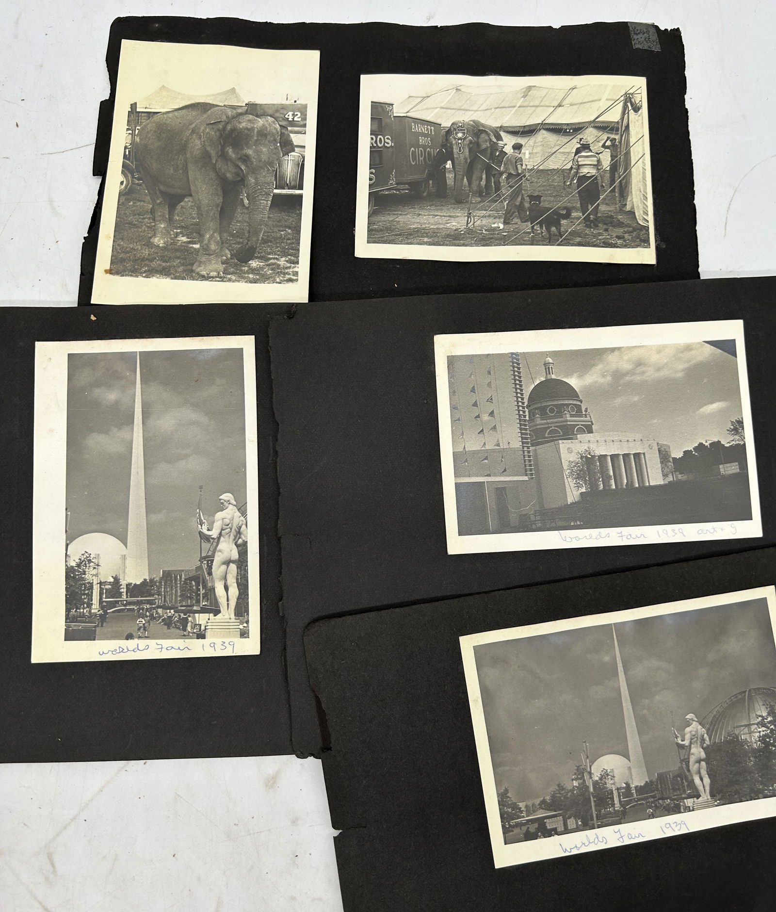Photographs - World's Fair 1939 & Circus Elephant Snaps (1 of 6)
