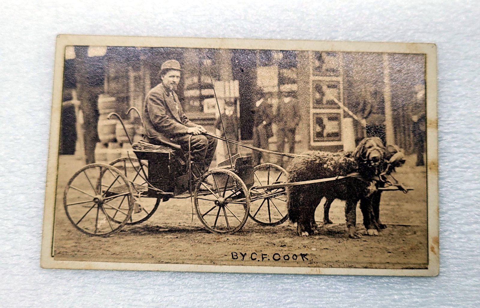 Antique Photographer In Front of Studio w Two Dog Hitch & Cart CDV Image: Antique Photographer In Front of Studio w Two Dog Hitch & Cart CDV Image - 2.5" by 4"