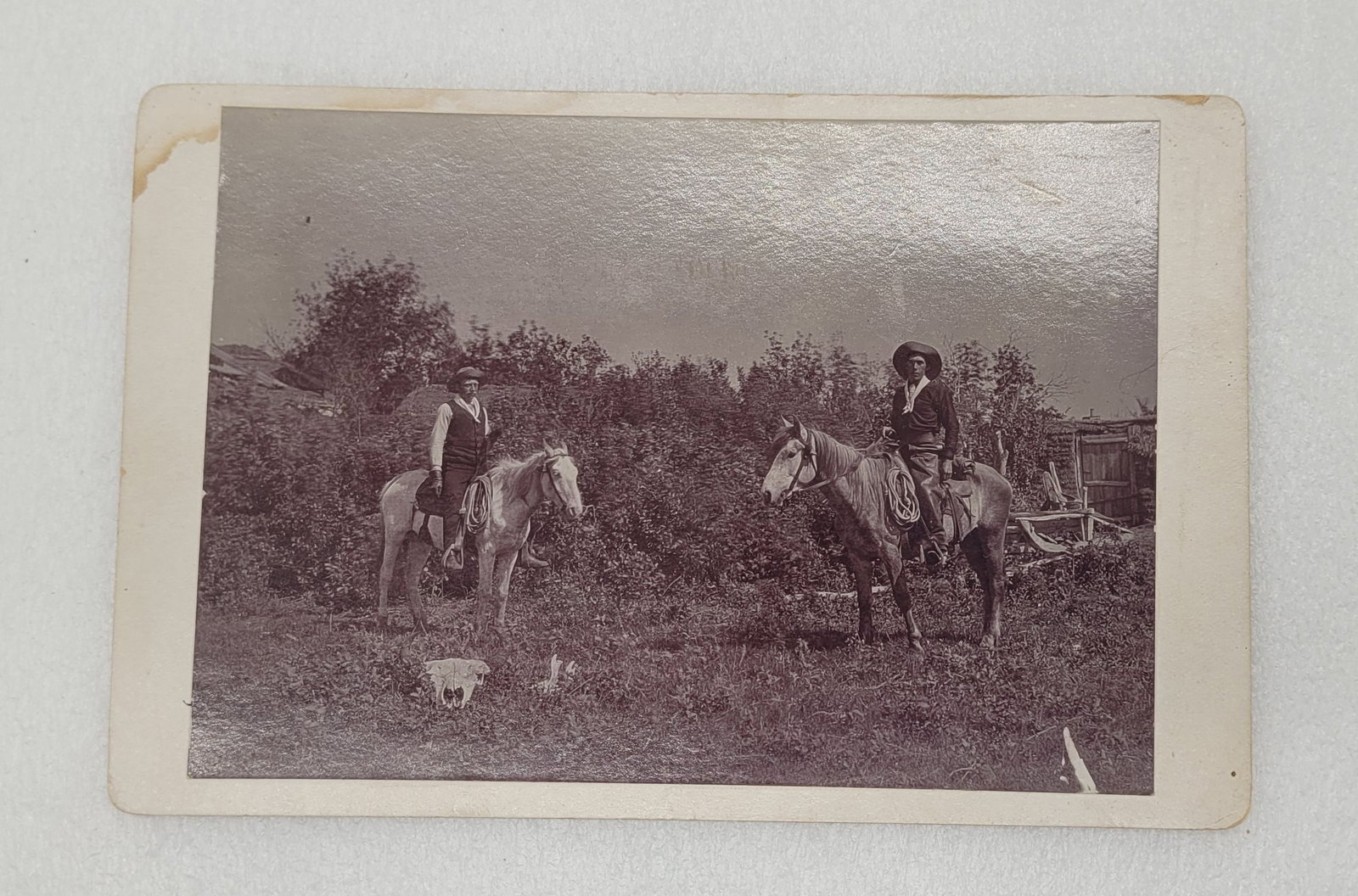 Antique Cabinet Card of Western Cowboys on Roping Horses w Skull In Foreground: Antique Cabinet Card of Western Cowboys on Roping Horses w Skull In Foreground - 4.25" by 6.5".