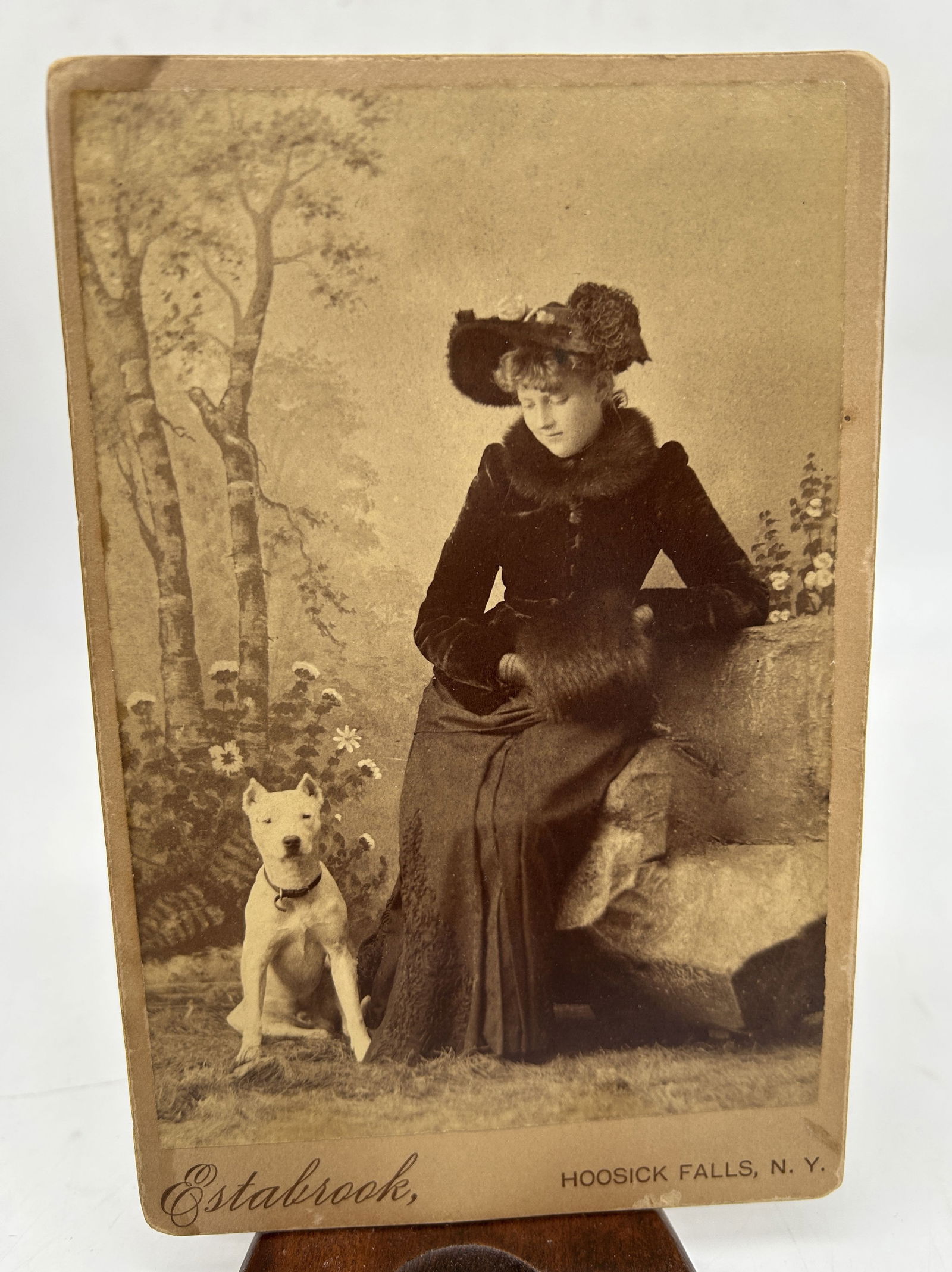 Cabinet Card of Woman w White Pit Bull Dog Estabrook Hoosick Falls NY (1 of 6)
