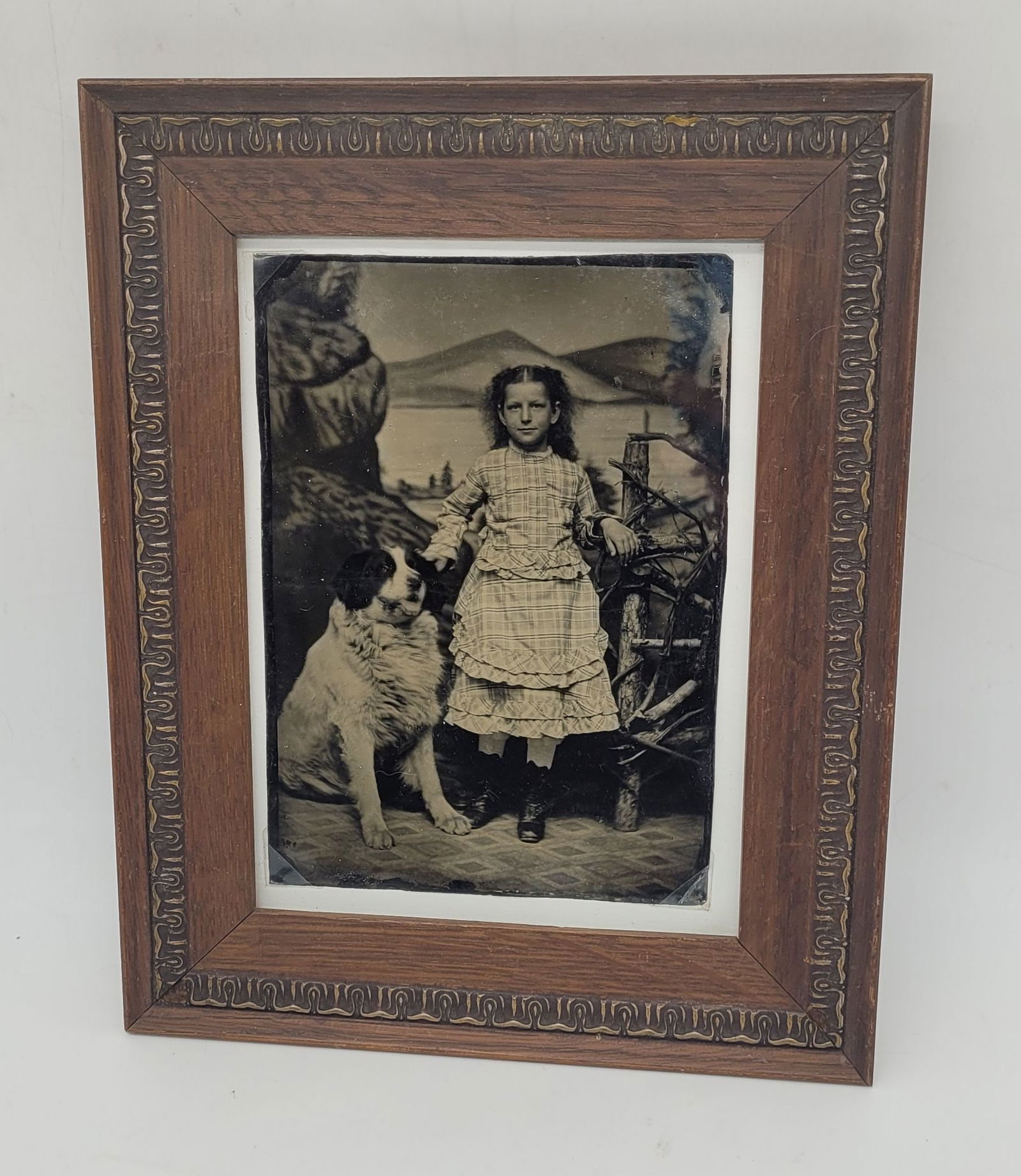 Large Tintype of Girl w St. Bernard Dog Framed (1 of 6)