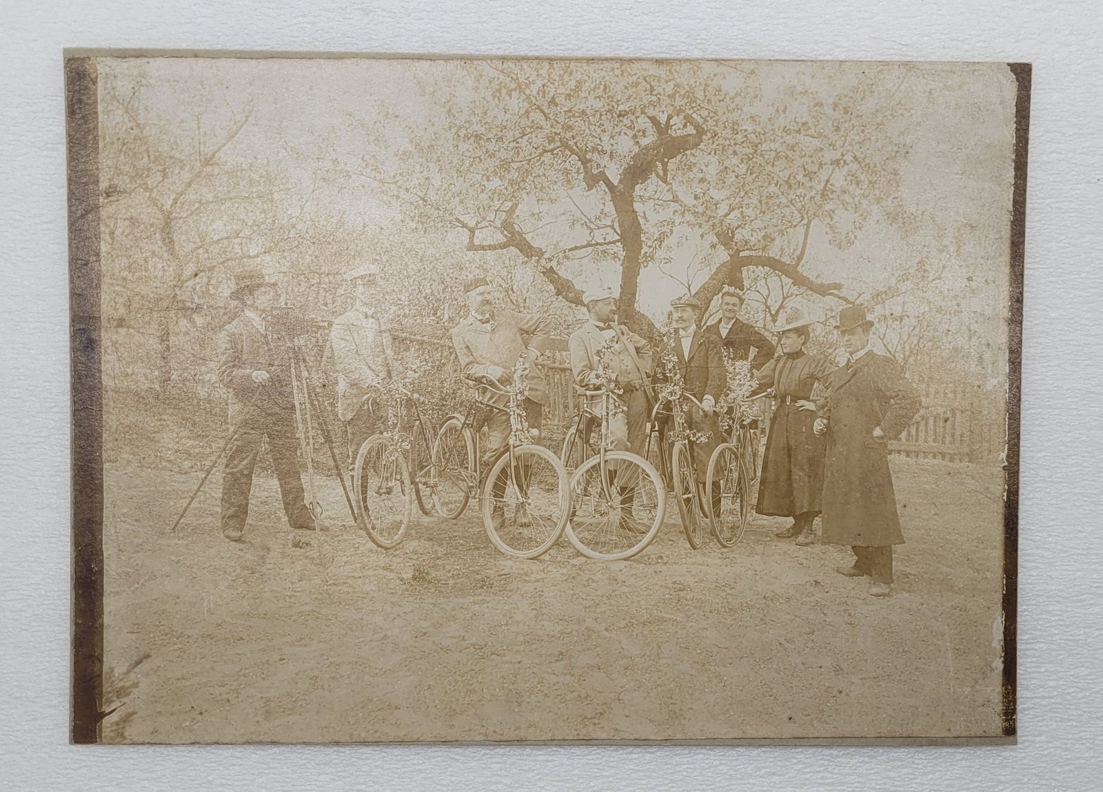 Photo on Board 1800s Bicycle Group Decorated w Florals: Photo on Board 1800s Bicycle Group Decorated w Florals - 7" by 9.75".