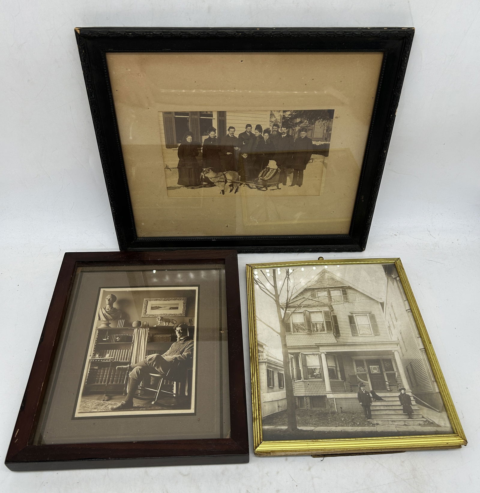 Framed - Goat w Baby In Cart Home/Store Front Advertising English Man In Study (1 of 8)