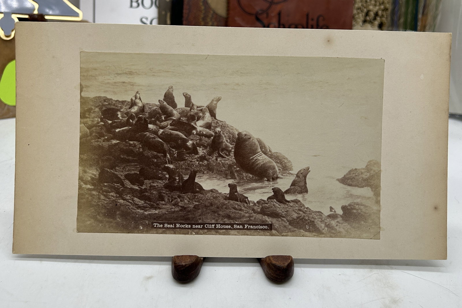 The Seal Rocks Near Cliff House San Francisco Antique Photo: The Seal Rocks Near Cliff House San Francisco Antique Photo. 10.5" by 5.5"