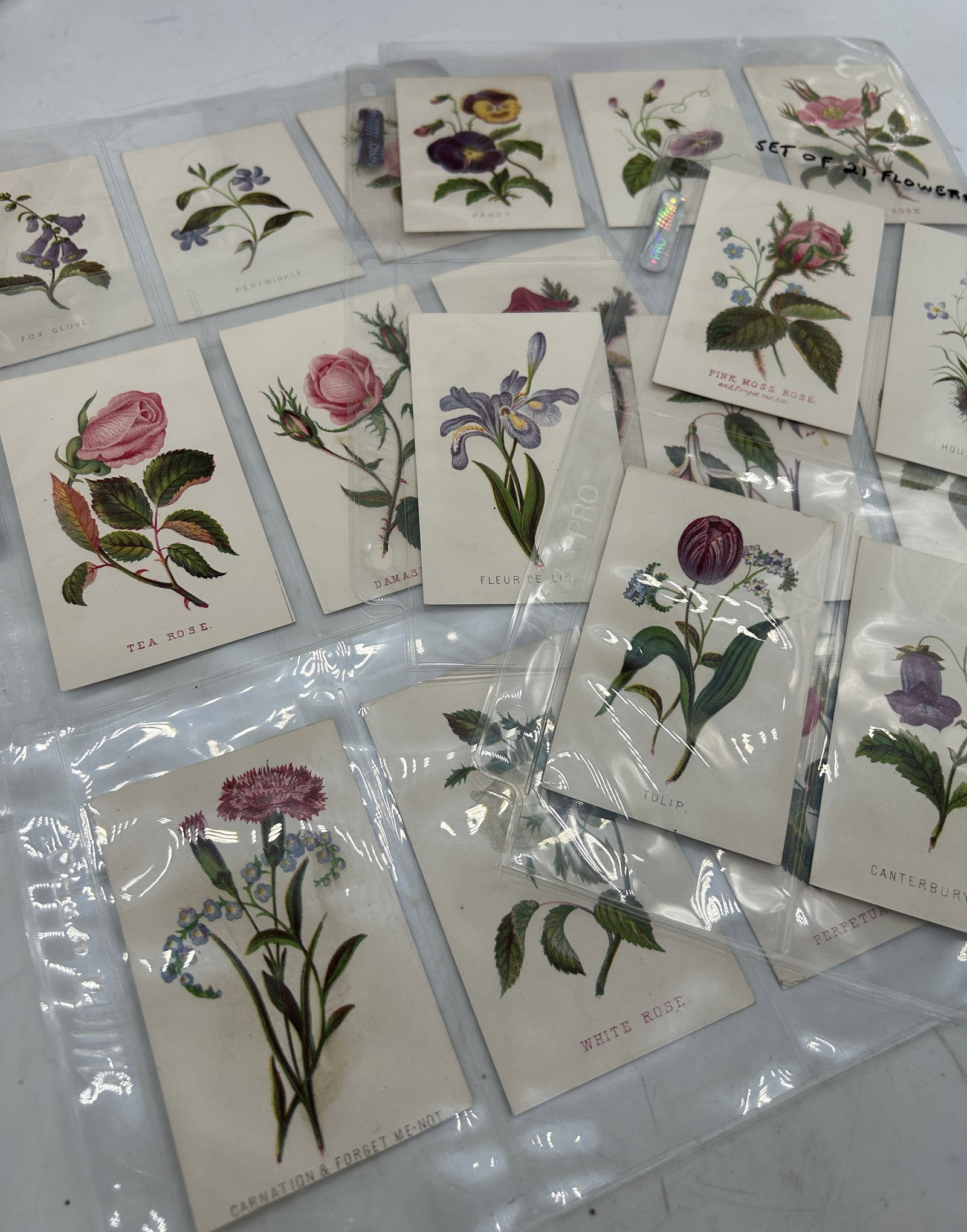 Botanical Trade Cards: Botanical Trade Cards.
