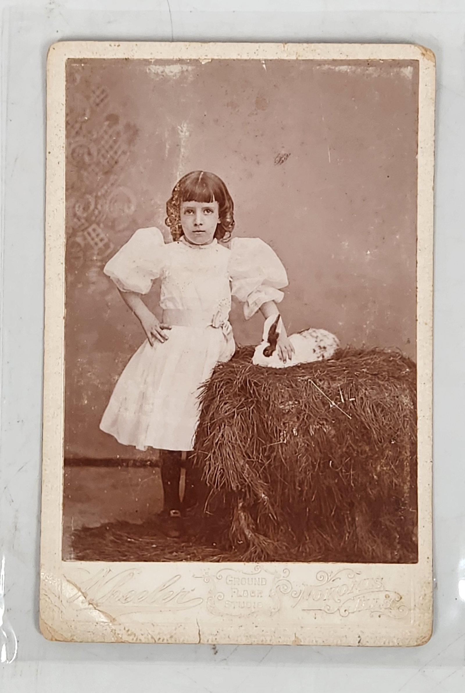 Cabinet Photo - Girl with Rabbit - Wheeler, Nokomis Ills. (1 of 5)