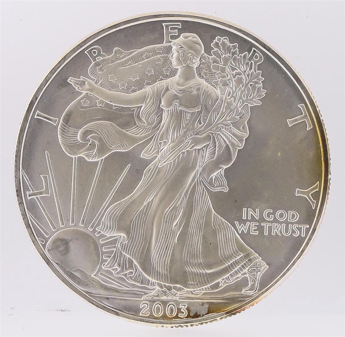 2003 American Silver Eagle Dollar Coin: One 2003 American Silver Eagle Dollar Coin.