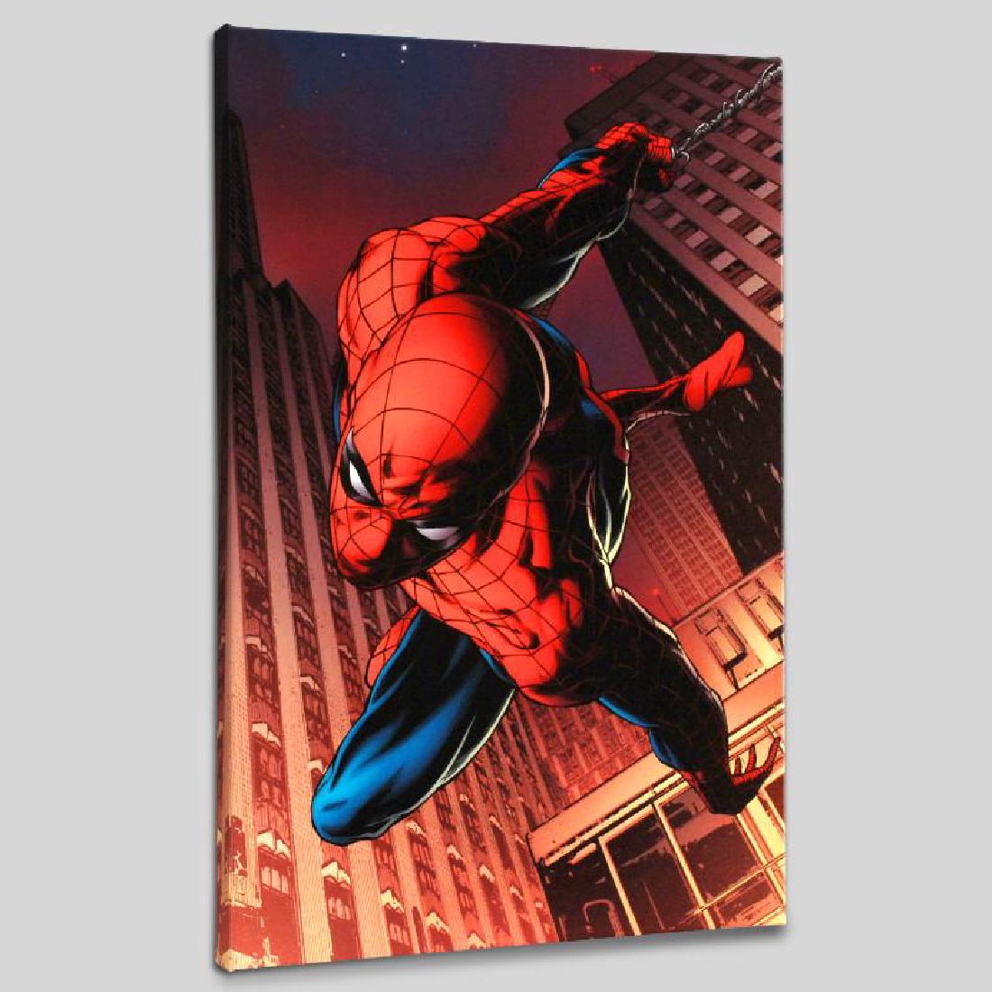 Amazing Spider-Man #641: A piece of comic book history, this limited edition, from original art by Joe Quesada, depicts the heroic Spider-Man. Joe Quesada gained renown in the comic book by drawing several Valiant Comics titl