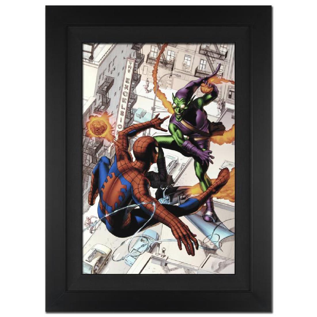 Dark Reign: The Goblin Legacy One-Shot: A piece of comic book history, this limited edition, from original art by Mike Mayhew, depicts a sky battle scene between the Green Goblin and Spider-Man. Mike Mayhew has been working in comics since 