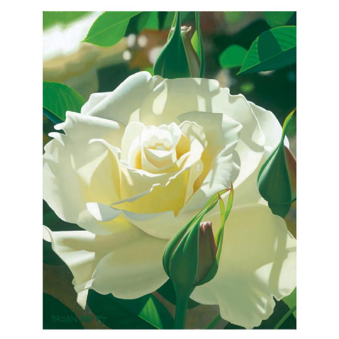 Pale Yellow Beauty by Davis, Brian: "Pale Yellow Beauty" is a limited edition giclee on canvas by Brian Davis, numbered and hand signed by the artist. This piece has a 2" border and may be framed or gallery wrapped based on preference. 
