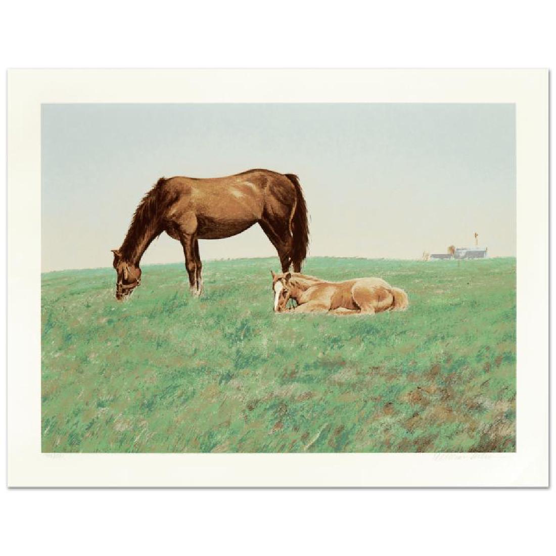 Mare and Foal by Nelson, William: "Mare and Foal" is a limited edition serigraph on paper by William Nelson, numbered and hand signed by the artist! Measures approx. 28.5" x 21.5" (with border); 25" x 18" (image).