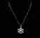 item-76160076=1