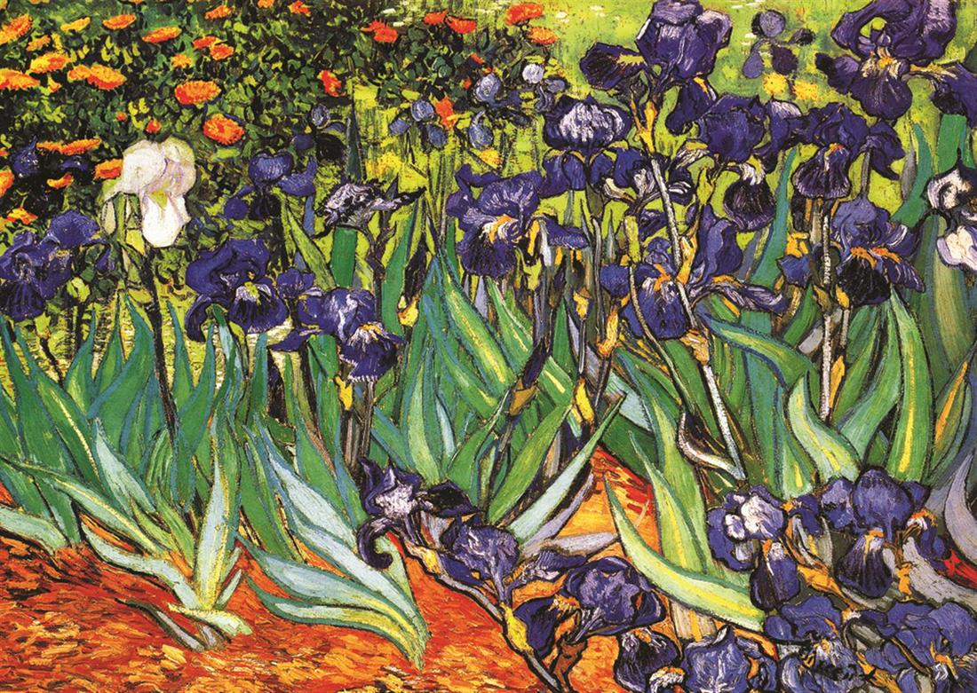Garden Of Irises, By Vincent Van Gogh Mar 24, 2020 Seized Assets