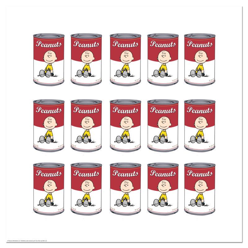 Peanuts Can by Peanuts: A vibrant and striking edition portraying the simple yet emotive art of Charles. M. Schulz, creator of PEANUTS . You'll love the color, it really POPS in person! It looks incredible on the wall and wi