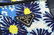 Prada Blue Multicolor Tessuto Nylon Stampato Tote Bag - 7