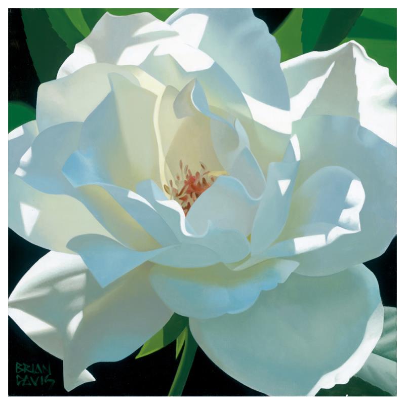 Rose In The Shadows by Davis, Brian: "Rose In The Shadows" is a limited edition giclee on canvas by Brian Davis, numbered and hand signed by the artist. This piece has a 2" border and may be framed or gallery wrapped based on preference.