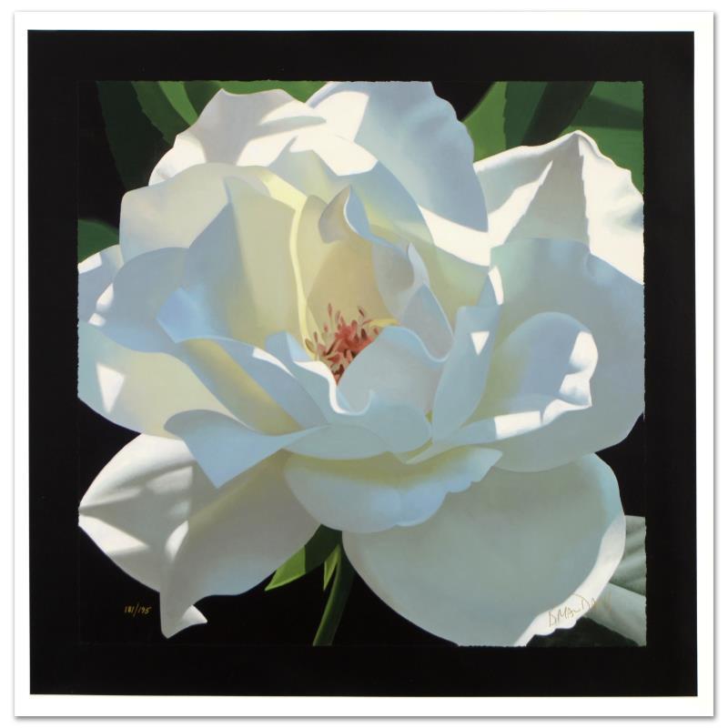 Rose in the Shadows by Davis, Brian: "Rose in the Shadows" is a limited edition giclee on canvas by Brian Davis, numbered and hand signed by the artist. Includes Certificate of Authenticity! Measures approx. 20" x 20" (image).