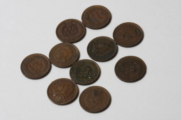 Collection of Indian Head Pennies (10) K58