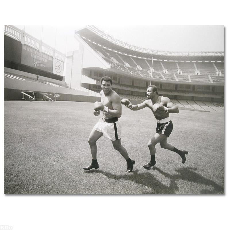 Licensed Photograph (40" x 30") of the Heavyweight: Own a piece of sports history with this photo of Muhammad Ali and Ken Norton (1943-2013), one of Ali's famed opponents. Taken at the peak of Ali's success as one of the greatest heavyweight championsh