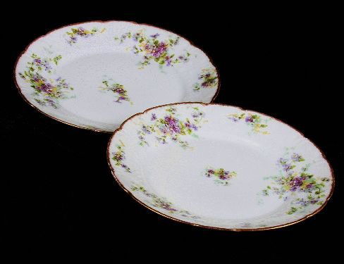 Lot of (2) Limoges Antique Plates: Lot of (2) Limoges Antique Plates - Excellent Condition - 995100 - Two beatuiful c. 1900-41, double marked, French plates. About 8 1/2 and no chips, cracks or repairs. Thank you for viewing this aucti