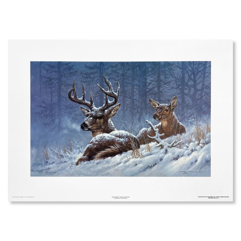 Bedded Down (Whitetail Deer) by Fanning (1938-2014): Bedded Down (Whitetail Deer) by Fanning (1938-2014). "Bedded Down" is a limited edition lithograph on paper by Larry Fanning. Numbered and hand signed, the piece comes with a letter of authenticity. M