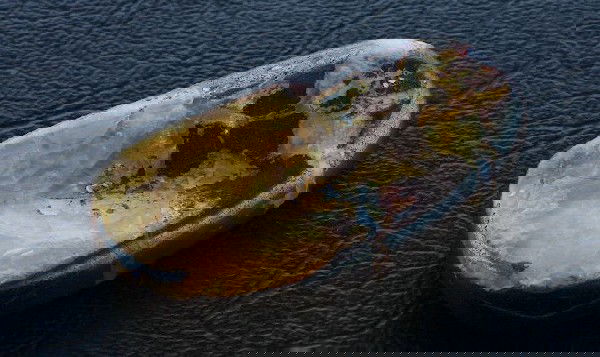 Natural Boulder Opal BO7 87.80 ct.: Natural Boulder Opal BO7 87.80 ct. Natural Boulder Opal - Beautiful stone. 87.80 ct. - Thank you for viewing this lot. We are always adding new inventory and new auctions, so check back often. We appr