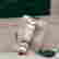 item-117659615=4