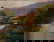 Original Oil Painting "Light Breezes" by D. Bottorff ED - 2